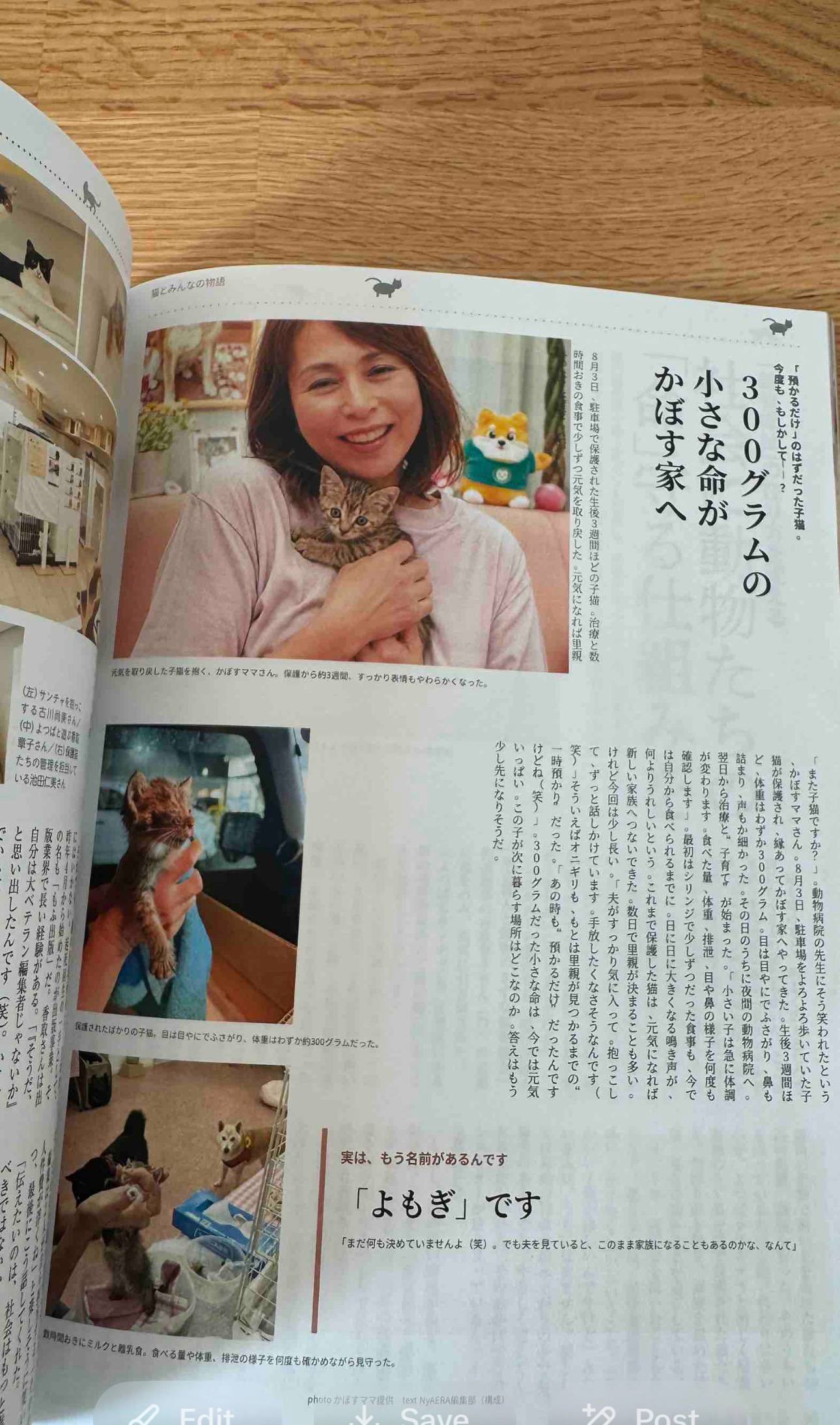 NyAERA Magazine featuring Yomogi — Kabosu Mama's rescued kitten